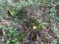 Coed Mamgu level retaining wall, Pont-y-waun, May 2013